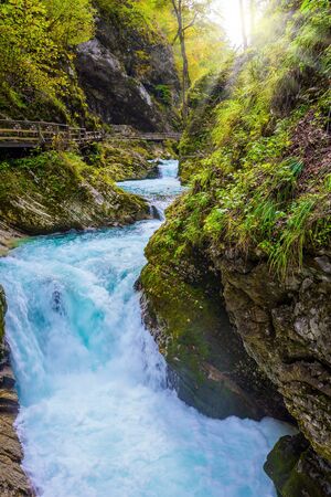 Slovenia. Picturesque bubbling waterfalls on a mountain river Radovna. Vintgar gorge. Sunset illuminates the seething stream. The concept of active and photo tourismの写真素材