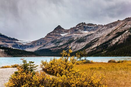 The Rockies of Canada. Red, yellow and orange autumn grass on the shores of the Bow Lake. The  water reflects the cloudy sky. The concept of active, environmental and photo tourismの写真素材
