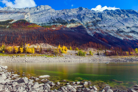 Great autumn day. The rocky shore of the mountain lake of Medicine. Canada, Jasper Park. Lake...