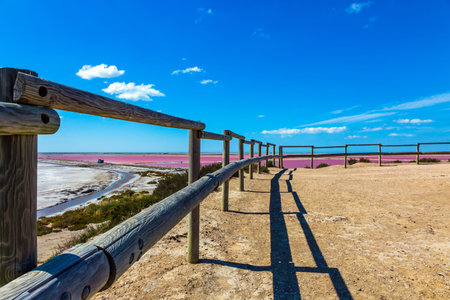 Observation deck. Pink Salt Water Estuary. Salt production on the seashore. The Mediterranean coast of France, the area of Camargue. The nature reserve includes saltwater and dunesの写真素材