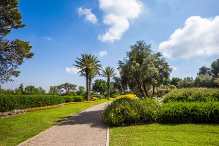 The magnificent botanical park on the slopes of Mount Carmel. Israel. Warm sunny day. Stone paved...