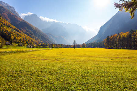Green grass pasture- meadow. Yellow, green, orange and red autumn trees. Magnificent golden autumn in the mountains of Slovenia. Logarska Valley, Eastern Europe, Alpsの写真素材