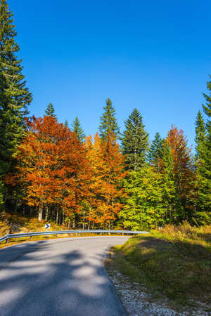 Logarska Valley, Slovenia. Magnificent golden autumn in the mountains. Eastern Europe, Alps. Asphalt road among yellow, green, orange and red autumn trees. Sunny dayの写真素材