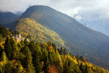 Golden Autumn in Slovenia. Magnificent Julian Alps. The mountains are covered with dense coniferous forests. Sunset, a big cloud is approaching. Pair of huge eagles circling in search of preyの写真素材
