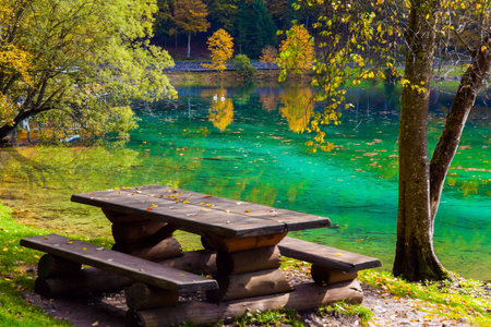 Cozy picnic corner - wooden table with benches. Alps, Northern Italy. Lake Fuzine. Yellow and orange trees are reflected in the green smooth water of the lake.の写真素材