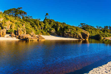 Road to Knight's Point Lookout. Pacific coast at low tide. Magic reflections of overgrown shores.  New Zealand, South Island. Sunrise. Puddles of ocean water on the shore.の写真素材