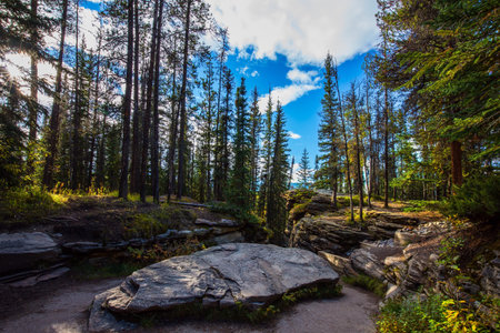 The Athabasca River in the Rocky Mountains of Canada. Old dry riverbed. Indian summer in Jasper Park. Magnificent landscape. Travel and photo tourism conceptの写真素材