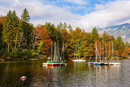 Slovenia. Sailing yachts and motor boats. Magnificent lake with clear water is surrounded by dense forests. Bohinj is an alpine lake in the Julian Alpsの写真素材