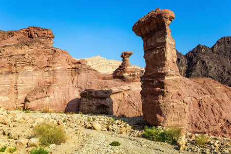 Multicolored landscape formations. Bizarre forms of weathered sandstone in the mountains. The rocks...