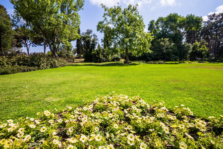 Israel.  Great walk in a clean well-kept park. Large green grassy meadow in the center of the park. The magnificent botanical park on the slopes of Mount Carmelの写真素材