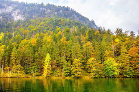 Lake among the yellow fall grass, birches and aspens. Indian summer in the Rocky Mountains. Grandiose landscape in the Canada. The concept of photo tourismの写真素材