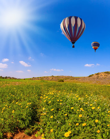 Two bright multicolor hot air balloons flies over the field. Beautiful sunny day in April. Spring bloom of the Negev Desert in Israel. Fields of spring flowers in the bright southern sun.の写真素材