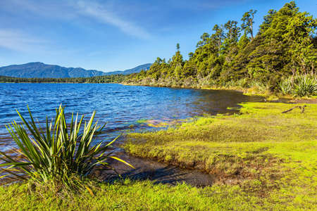 Shallow ocean bay. New Zealand, South Island. The road to Knight's Point Lookout is an majestic landscape. Picturesque magic overgrown shores. Travel to the ends of the worldの写真素材
