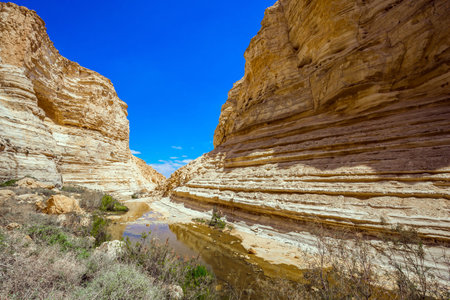 The magnificent gorge Ein Avdat is the most beautiful in the Negev desert.  Israel. The ravine is formed by the waters of the Qing River. Start route. The walls of the gorge are corroded by cavesの写真素材
