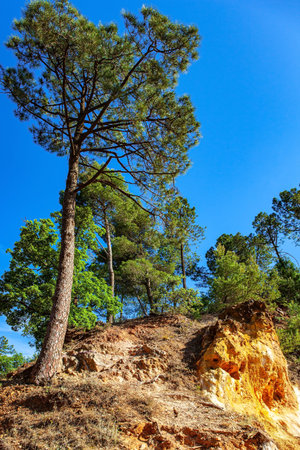France, Provence. The village of Roussillon is surrounded by picturesque ocher cliffs. Now the rocks...
