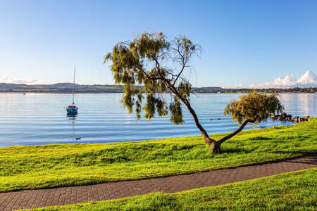 Warm evening on the lake. Magnificent sunset. New Zealand. The largest Lake Taupo. The magnificent lake is a popular holiday destination for tourists. The path along the lake shore.の写真素材