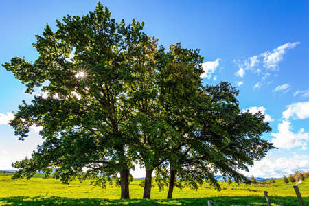 Shores of Lake Taupo. New Zealand, North Island. Beautiful green grass lawns and dirt paths. Wonderful warm summer day. Travel to the ends of the Earth.の写真素材