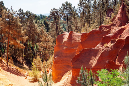 Picturesque rocks from natural ocher lit by the midday sun. The rocks are covered with forest. The...