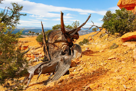 Magical landscapes of the west of the USA. Red-brown canyons, ledges, mesas and outliers are...