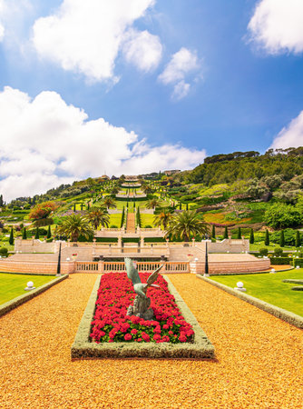 Luxurious flower bed with bright red flowers. The slope of Mount Carmel. Haifa, Israel. Bahai World Center. Pilgrimage center and popular tourist destination.の写真素材