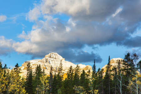 Scenic shores of Abraham Lake. Great Canadian Rockies. The yellow foliage of birches and aspens is mixed with green conifers.の写真素材