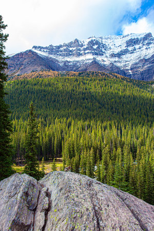 Coast of the mountain lake Moraine. Cloudy and cold autumn day. The magnificent Canadian Rockies are...