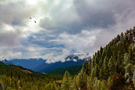 Autumn trip to the Italian Alps. Italy. The famous picturesque pass in the Dolomites - Passo Rolle....