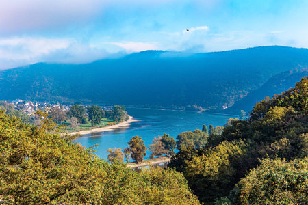 Magnificent turn of the great river Rhine. Warm autumn in Germany. Beautiful wooded slopes of the...