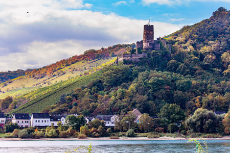 Medieval knight's castles and ruins. The magnificent and scenic Thurant Castle. Warm autumn in Germany. Beautiful wooded slopes of the coastal hills of the river Rhine.のeditorial素材