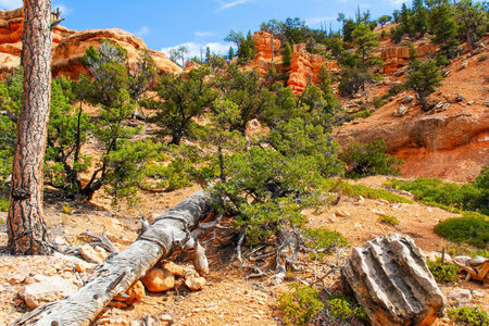 Red-brown canyons and outliers are composed of soft sedimentary rocks. USA. The most popular trails in Red Canyon. Red Canyon Arches trail in Losee Canyon.の写真素材