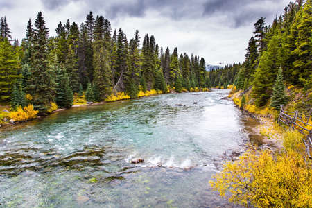 Lake Maligne is surrounded by coniferous evergreen forests. Cold cloudy fall day in the Canadian Rockiesの写真素材