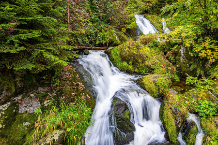Magnificent high cascading waterfall Triberg. The powerful jets of the waterfall thunder and rumble....