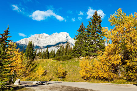 Travel to Canada, the Rocky Mountains. Beautiful day at the edge of the forest. The shore of the mountain Two Jack Lake.の写真素材