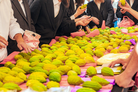 Beautiful etrogs are laid out on the counter. Pre-holiday bazaar for the sale of ritual plants. Sukkot is one of the main holidays of the Jewish people. Israel, Jerusalemの写真素材