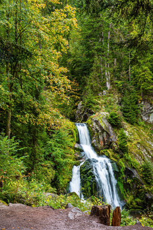Triberg, the most beautiful non-alpine waterfall in Germany. Germany foggy autumn. Journey to the World of Water. Huge boulders overgrown with green moss. Picturesque Black Forestの写真素材