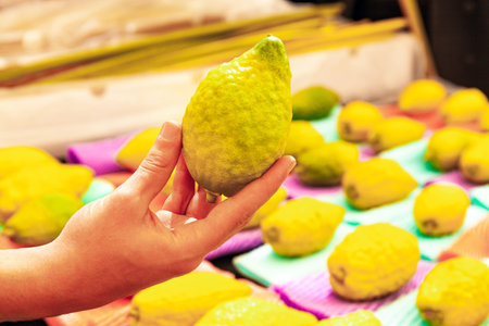 Israel, Jerusalem. Pre-holiday bazaar for the sale of ritual plants - Etrog. Sukkot  is one of the main holidays of the Jewish people.の写真素材