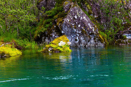Gorgeous mountainous Norway. Journey to the fabulous northern country in the middle of summer. Emerald green of summer grass. Picturesque lake Bondhuswatnet.の写真素材