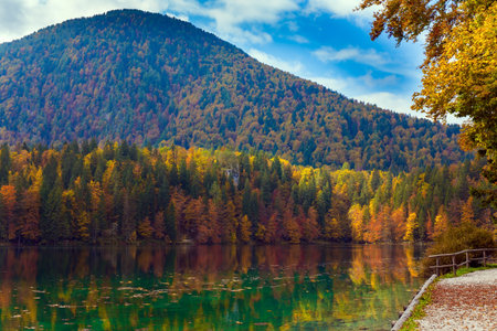 Magnificent colors of autumn. Orange and yellow trees are reflected in the green smooth water. The mountains are covered with autumn forests. Lake Fuzine in Northern Italy.の写真素材