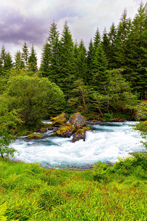 Rumbling foamy stream of cold water flowing from the lake Bondhuswatnet. Emerald green of summer grass. Magnificent Norway.の写真素材