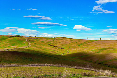 Italy. Travel to Tuscany. Sunny day at the beginning of winter. The famous picturesque and harmonious hills of the Val d'Orcia. Sunset.の写真素材