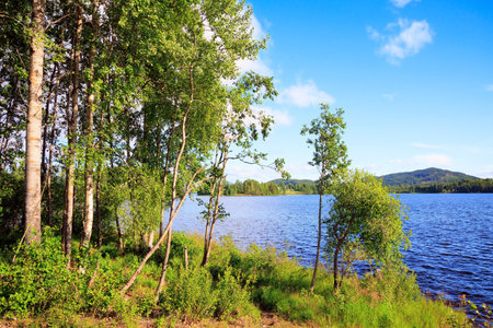 Light white clouds in the blue sky illuminated by the sunrise. The shore of the lake is overgrown with grass and wildflowers. Summer magical morning.の写真素材