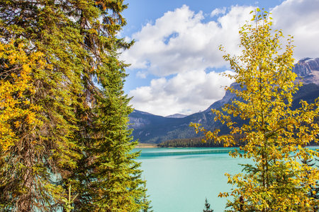 Picturesque huge lake in the Canadian Rockies. Coniferous forest and mountain peaks surround the lake with azure water. Early morning on magnificent Emerald Lakeの写真素材