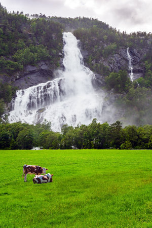 Green water world. Huge powerful waterfal Vidfossen. Summer, July. White water foam envelops the foot of the waterfall. Incredible Norway.の写真素材