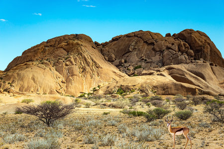 Magnificent stone red-orange remains of Spitzkoppe from coarse-grained granite. Huge rounded boulders in the middle of the vast Namibian desert. Namibia. Africa.の写真素材