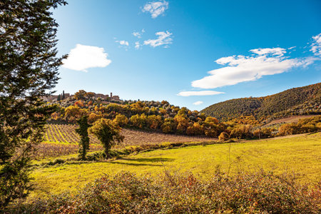 Picturesque hills, gardens and vineyards of Tuscany. Italy. Sunset. Wonderful warm sunny day in late autumn. Trip to a magical land was a success!の写真素材