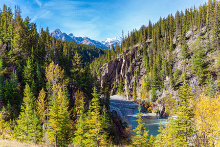 Shallow mountain stream with glacial melted water. Evergreen firs on the steep banks of the stream. Rocky Mountains of Canada. Autumn day. Neighborhood of Abraham Lake.の写真素材