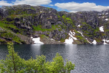 Large snowfields is reflected in the water of the lake. Cold summer in Norway. Traveling by camper on road 520. Last year's snow and gray skies.の写真素材