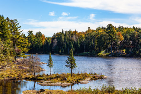 Great wildlife Omega Park. Small lake at the edge of the forest. Neighborhoods of Montreal and Ottawa, province of Quebec. Lush multicolor northern autumn.の写真素材