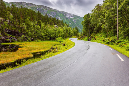 The picturesque highway passes through green forest. Summer trip to the north of Europe. Cold and rainy day. Western Norway.の写真素材