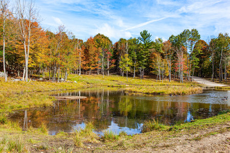 Small lake at the edge of the forest. Great wildlife Omega Park. Neighborhoods of Montreal and Ottawa, province of Quebec. Lush multicolor northern autumn.の写真素材